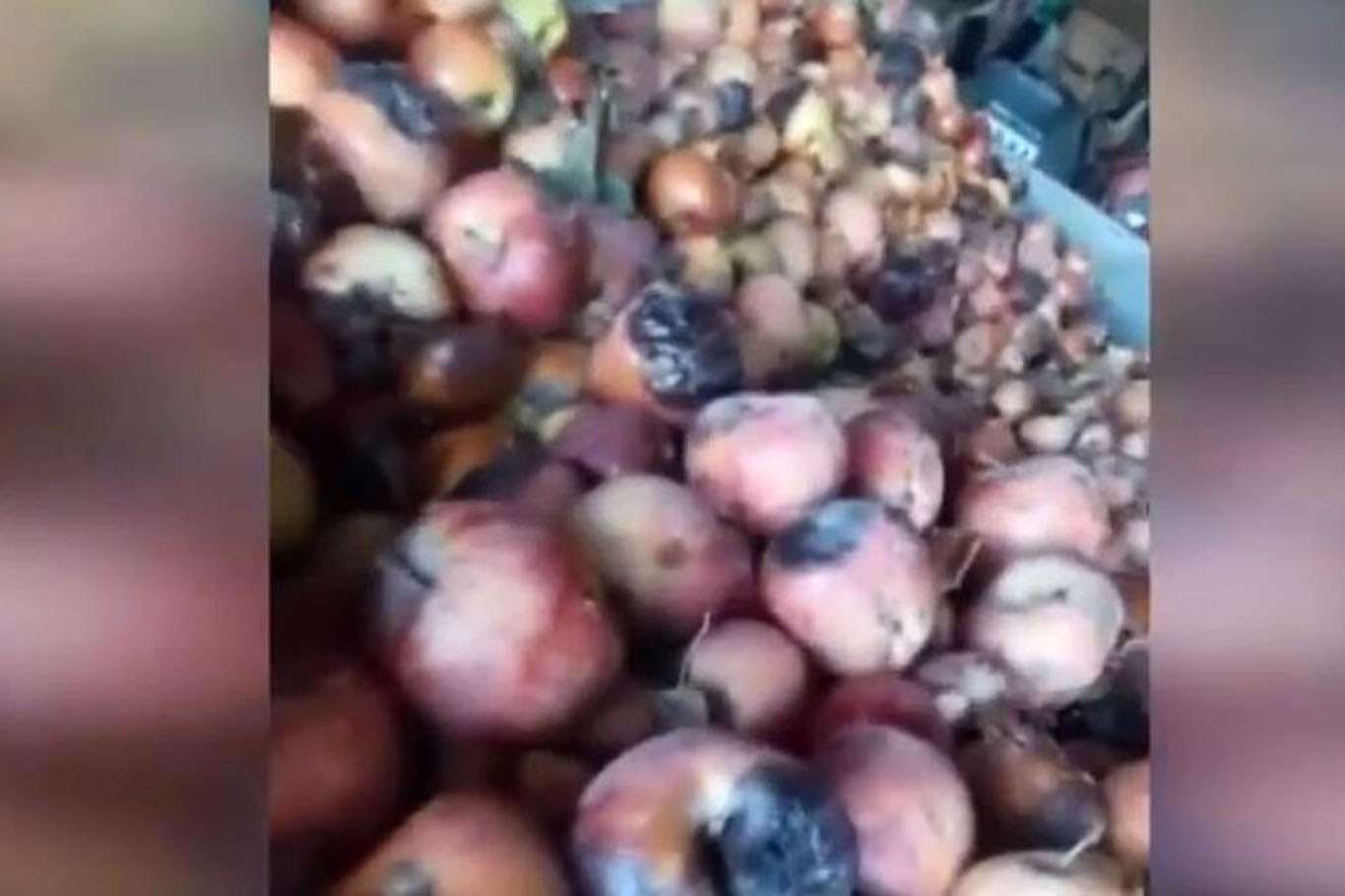 "Çürük elma" skandalının ardından bakanlık harekete geçti "Çürük elma" skandalının ardından bakanlık harekete geçti